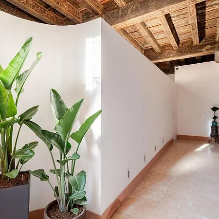 Domus 2 Mori- 120 M2 Con Affreschi - Centro Storico - Due Bagni 公寓 维罗纳